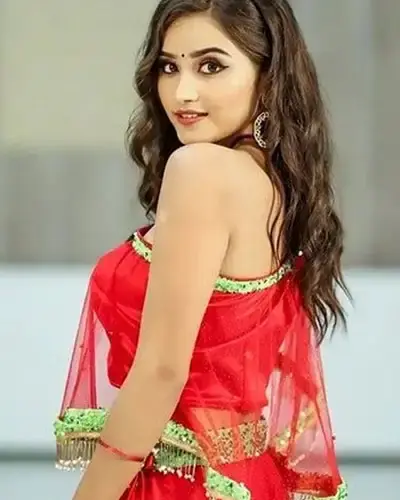 Escort In Mahendragarh
